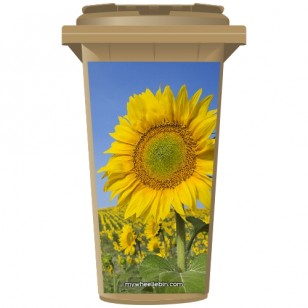 Sunflowers In A Field Wheelie Bin Sticker Panel